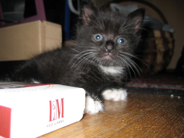 Bild 4